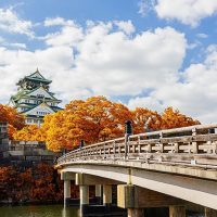 Khám phá biểu tượng của thành phố Osaka – lâu đài Osaka