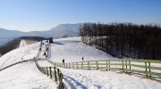 Mách bạn 3 địa điểm ngắm tuyết rơi đầu mùa đẹp nhất ở Hàn Quốc