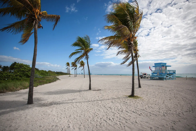 Haulover Beach được biết tới là bãi biển và điểm lướt sóng hoàn hảo ở Miami